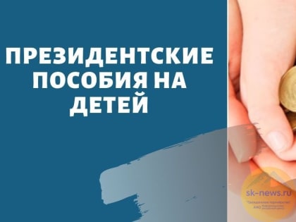 Ставропольчанки с детьми до 17 лет и беременные могут подать заявление на президентское пособие