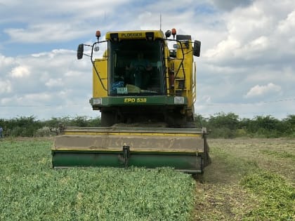 В Баксанском районе идет уборка зеленого горошка