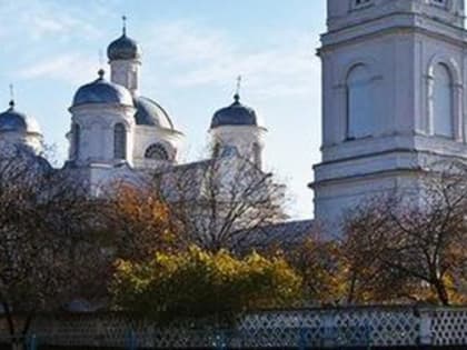Из столицы – в станицу