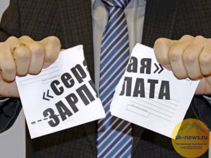 Более 34 тысяч ставропольчан за полтора года на своей работе «вышли из тени»