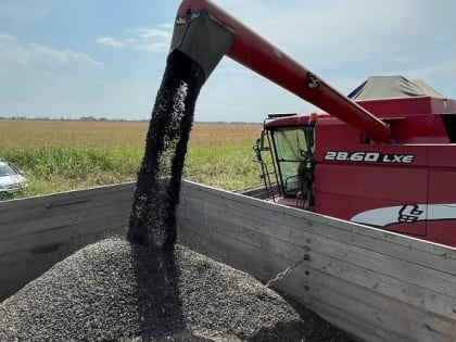 В Баксанском районе началась уборка подсолнечника