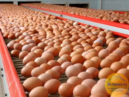 Кавказ.РФ поддержал под Буденновском активное развитие крупного агропромышленного проекта