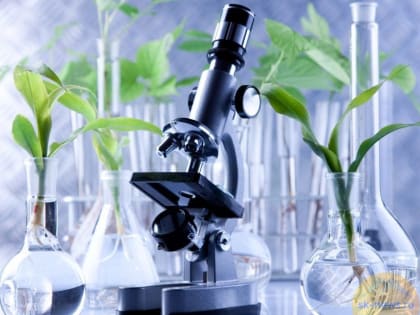 Ставропольские учёные изобрели новый метод получения наночастиц селена для иммунитета