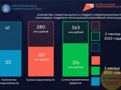 Малый и средний бизнес Ставрополья с начала года получил более 563 млн рублей