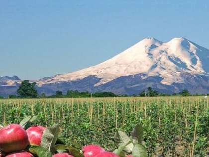 Кабардино-Балкарская Республика продолжает работу в области международной и внешнеэкономической деятельности