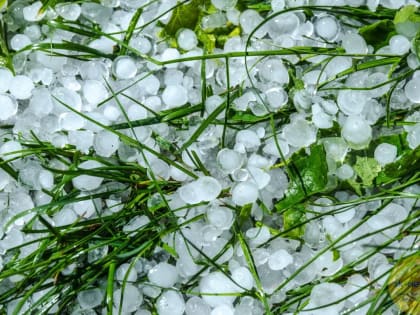 Власти Ставрополья выделят 50 млн рублей на борьбу с градом