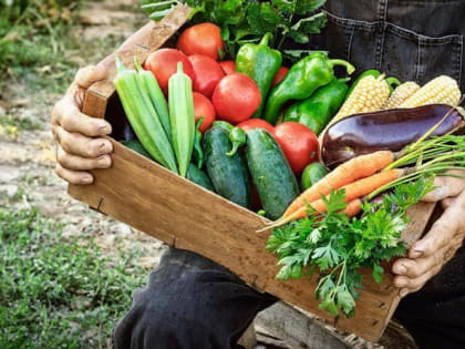 7,2 млн рублей на поддержку фермеров КБР