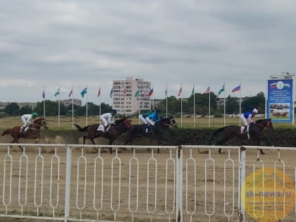 Призовой фонд скачек "Кубок Эльбруса-2022" составил более 3 млн рублей