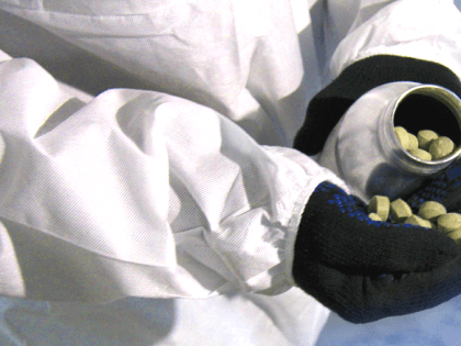 Специалисты Кабардино-Балкарского пункта провели обеззараживание более 2 тыс. тонн кукурузы на экспорт