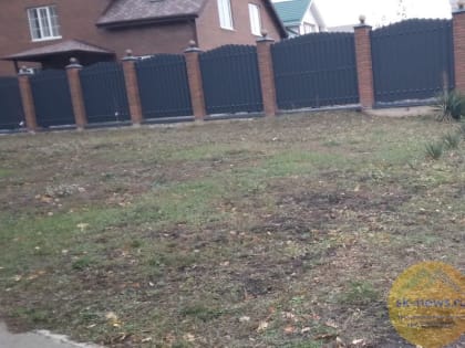 В 2024 году рынок ипотеки на ИЖС в России показал рост