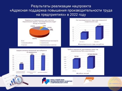 Общественный совет минэка подвёл итоги реализации на Ставрополье нацпроекта «Производительность труда»