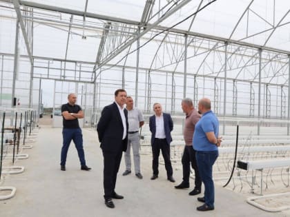 В Чегемском районе завершено строительство первой очереди тепличного комплекса