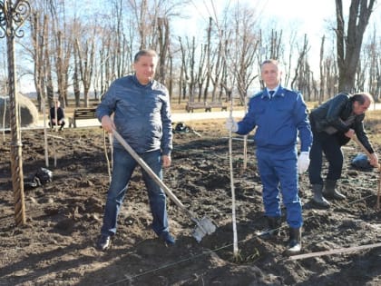 В парке «Муртазовский» г.п. Терек заложена березовая аллея из 300 саженцев