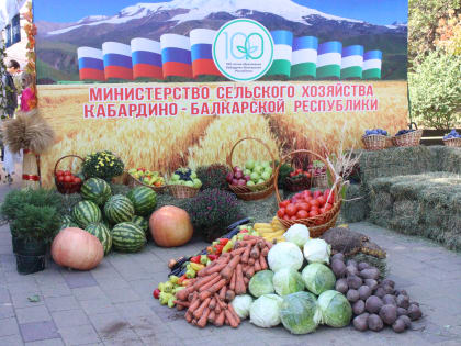 Учёные вуза представили свои достижения на праздничной сельскохозяйственной выставке