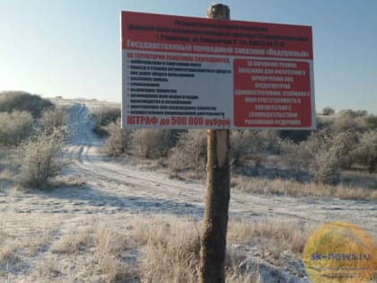 Валдьшнепа из средней полосы заметили в заказнике «Подлужный» под Изобильным и продолжат его обустройство