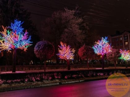 В Ставрополе возбудили дело из-за хищения 30 млн рублей на покупке светодиодных деревьев