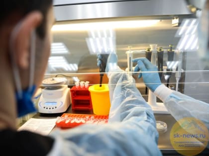 Крупнейшую на Юге России лабораторию по изучению новых штаммов коронавируса откроют в СКФУ