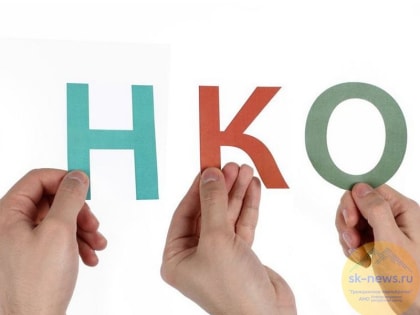 Вклад НКО в российский ВВП оценит минэкономразвития РФ