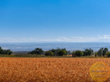 На Ставрополье аграриям сохранят меры господдержки по ключевым направлениям в 2023 году