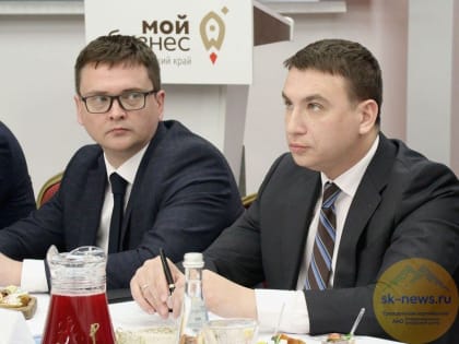 Предпринимателям Ставрополья предложат точки роста их бизнеса