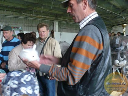 После долгих лет на Ставрополье 30 сентября проведут выставку, приуроченную к празднованию Дня урожая