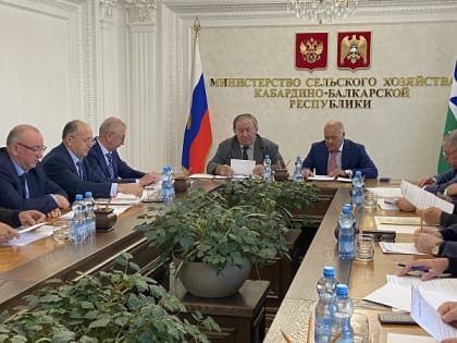 В КБР увеличилось производство мяса, молока и яиц