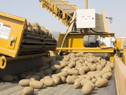 В Кабардино-Балкарии сельхозпроизводство за 8 месяцев 2022 года выросло на 3,7%