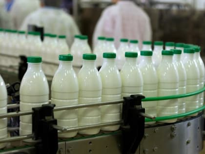 За пять месяцев производство кисломолочных продуктов в Кабардино-Балкарии выросло на 33 процента