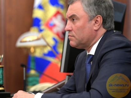 Вячеслав Володин опроверг собственное заявление о передвижении по стране резервистов