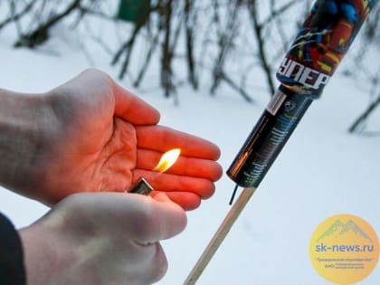 Противопожарные службы Ставрополя перейдут на усиленный режим работы в праздники