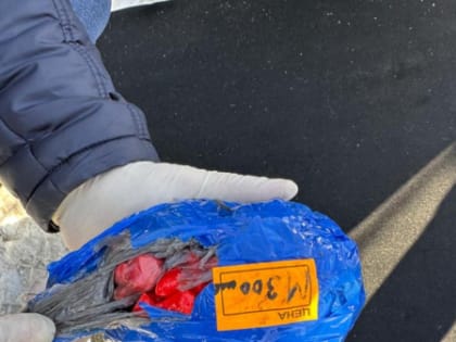 Крупную партию наркотиков изъяли у иностранцев полицейские в КБР