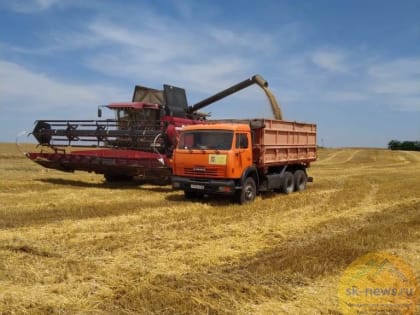 На Ставрополье стартовал сбор урожая зерновых: на поля выйдет около 7 тысяч единиц техники