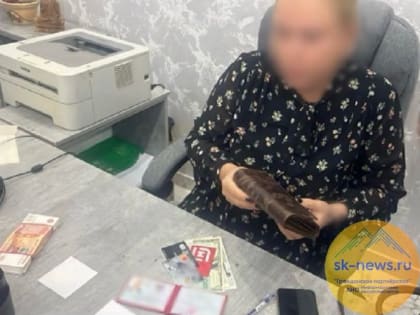 Адвокат адвокатской палаты Ставропольского края подозревается в мошенничестве