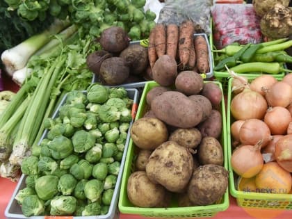 К уборке овощей борщевого набора приступили в четырех округах Ставрополья