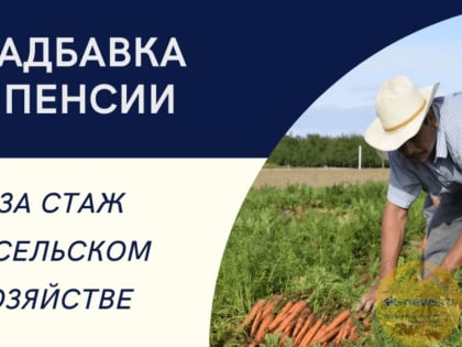 На Ставрополье более 22 тысячам жителей платят надбавку к пенсии за работу в сфере АПК