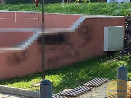 Глава Железноводска призвал вандалов добровольно восстановить испорченные стены в Школьном сквере