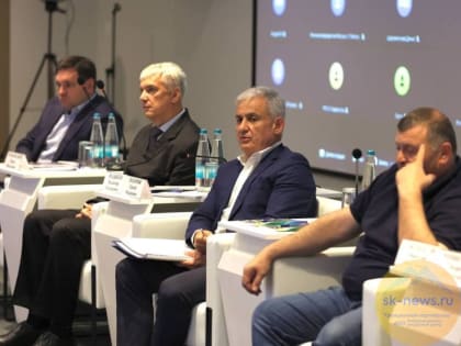 Встречи с бизнесом Северного Кавказа помогут оценить Минэк РФ адресность мер господдержки