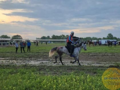 Всадники Ставрополья, КЧР, Питера участвуют в конном Кубке в Кабардино-Балкарии