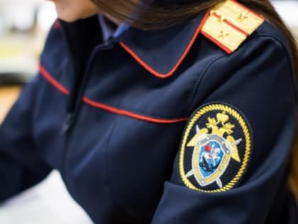 В Зольском районе завершено расследование уголовного дела  о покушении на сбыт наркотических средств в крупном размере