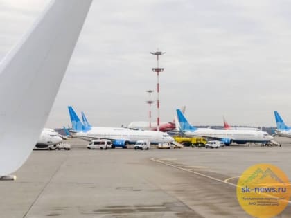 В терминалы аэропортов Ставрополя, Минвод и Нальчика вложится Институт развития СКФО