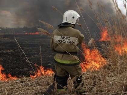 Штормовое предупреждение по чрезвычайной пожароопасности