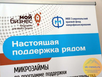 В малом и среднем бизнесе на Ставрополье оказались заняты более 390 тысяч человек