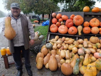 В поселке Саманер на КМВ в этом году вырастили за сезон более 5 тонн тыкв