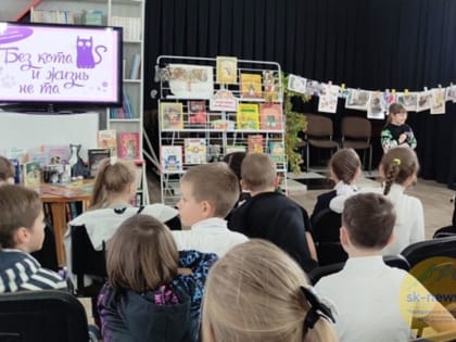 Лицеисты Ставрополя стали участниками праздника кошек