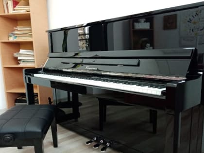 Детские школы искусств республики получили новые музыкальные инструменты