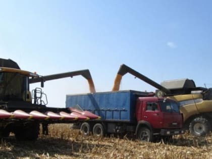 Основной объём нового урожая обеспечили фермеры и частный сектор