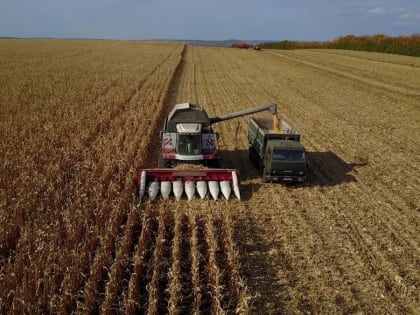 Правительство РФ направит дополнительное финансирование на развитие сельских территорий