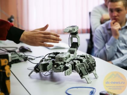 Ученые Северного Кавказа смогут предотвратить «восстание машин»