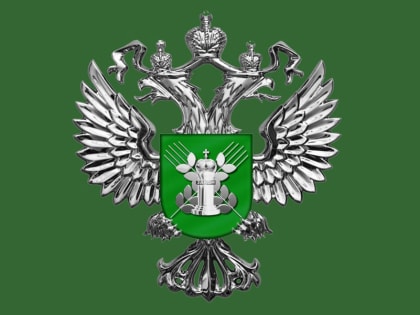 Северо-Кавказское межрегиональное управление Россельхознадзора предупреждает о высоком риске распространения оспы овец на территории РФ