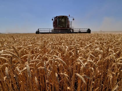 Кабардино-Балкария получит 390 миллионов рублей на поддержку аграриев